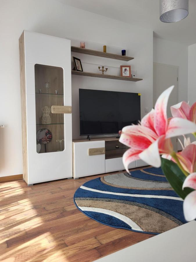 Apartament C&L Braşov Dış mekan fotoğraf